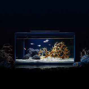 Petkit Smart Fish Tank